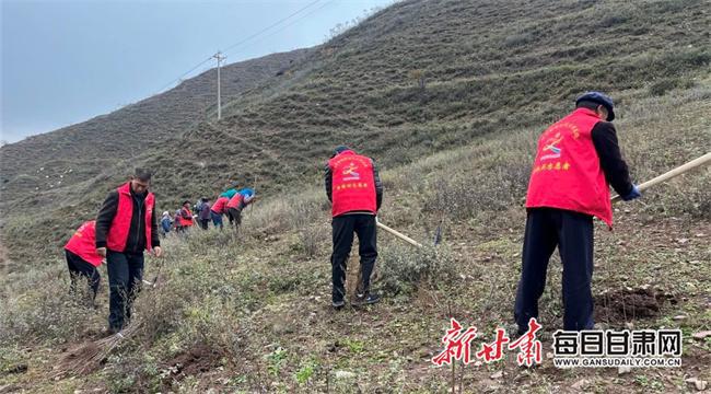 BOB半岛漳县开展秋季造林绿化活动(图2)