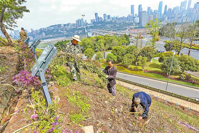 BOB半岛海北刚察：多举措绘就宜居生活“新画卷”(图1)