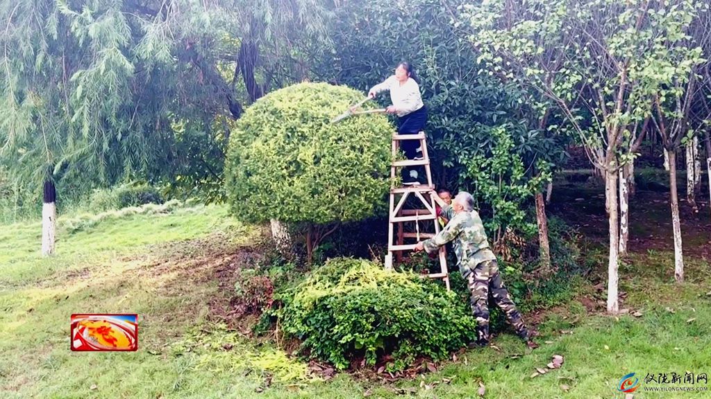 绿化养护再提升 园林景观焕“新bob半岛体育颜”(图2)