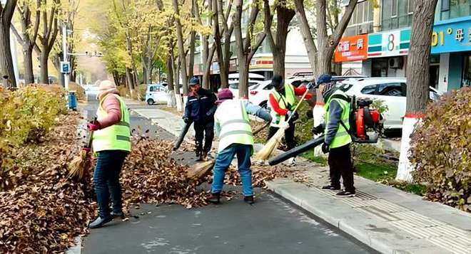 城管局环卫服务bob半岛体育中心全力清扫落叶 保障城区干净整洁(图1)