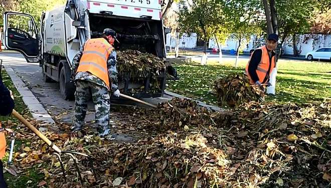 城管局环卫服务bob半岛体育中心全力清扫落叶 保障城区干净整洁(图2)