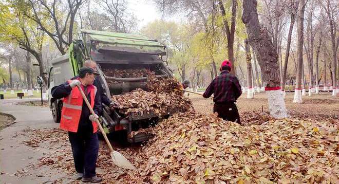 城管局环卫服务bob半岛体育中心全力清扫落叶 保障城区干净整洁(图3)