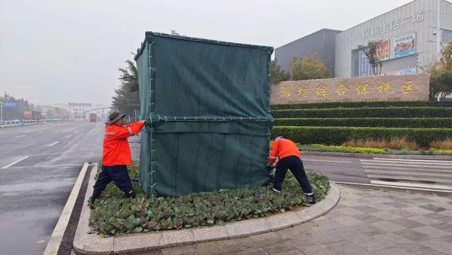 潍坊市保税区：护树涂白换“新BOB半岛衣” 精细养护固成效(图1)